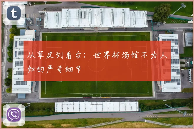 从草皮到看台：世界杯场馆不为人知的严苛细节