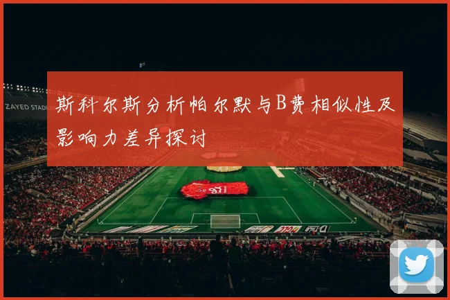 斯科尔斯分析帕尔默与B费相似性及影响力差异探讨